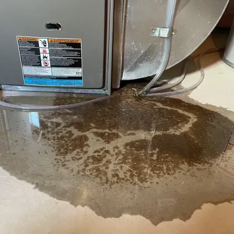 Appliance Leak Cleanup in Brooktrails, CA